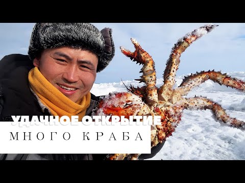 Видео: КРАБАЛКА 2025 | Удачное открытие