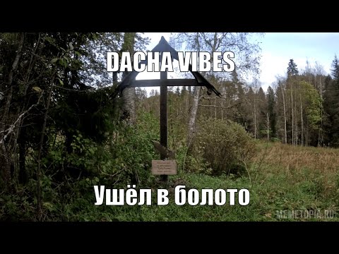 Видео: DACHA VIBES. Поход к старому урочищу