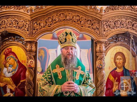 Видео: Вход Господень в Иерусалим. Божественная литургия.