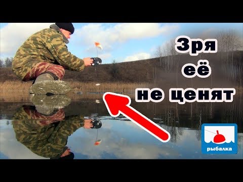 Видео: Наживка на щуку которую не ценят рыбаки, А ЗРЯ! Рыбалка на жерлицы!