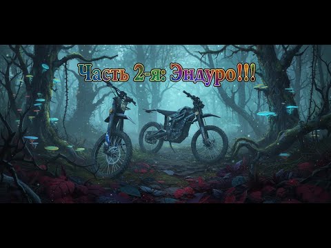 Видео: Сказочный Лес. Осень. Talaria. Часть 2-я: Эндуро!!!