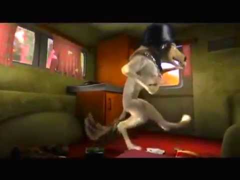 Видео: Кейт и Хамфри