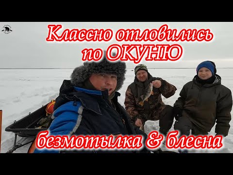 Видео: Классно отловились по ОКУНЮ 🔥 Безмотылка & Блесна 💪