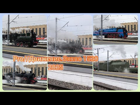 Видео: Pro//Движение.Экспо 1520 2025. Часть 1 - динамический показ