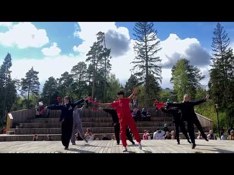 Видео: Тайцзицюань Веер 52 формы.