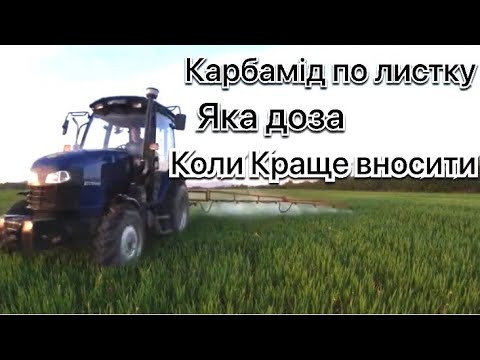 Видео: Підживлення пшениці по листку. Яку дозу карбаміду вносити по пшениці щоб не спалити і коли саме