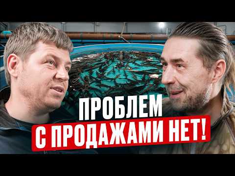 Видео: Осетра раскупают как горячие пирожки! Как из сэндвич-панелей построить УЗВ? / Обзор рыбной фермы