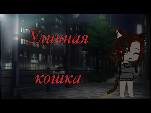 Видео: Уличная кошка/ мини фильм/ #гачалайф #gacha 