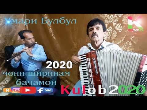 Видео: Умари Булбул 2020 / Umari Bulbul 2020