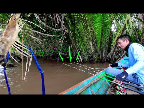 Видео: Удивительный рекорд! Ловля гигантских синеклешневых креветок во время медленного течения реки