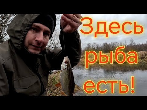 Видео: Ловля плотвы на реке Десна в ноябре.