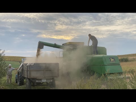 Видео: Молотим сою… аби не гірше, є що показати)))