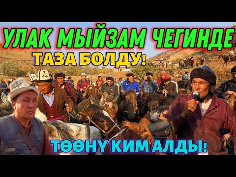 Видео: БҮГҮНКҮ УЛАК ӨТӨ КЫЗЫК БОЛДУ! 🤯 #байтв 