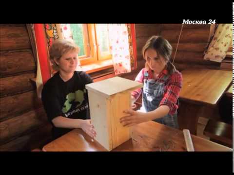 Видео: "Москва и окрестности": Лосиный остров. Лето