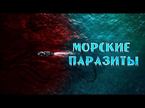 Видео: ЗАПРЕТНАЯ ЗОНА! НАДО БЫЛО ДУМАТЬ РАНЬШЕ! НОВЫЙ ФАНТАСТИЧЕСКИЙ УЖАСТИК! Морские паразиты.