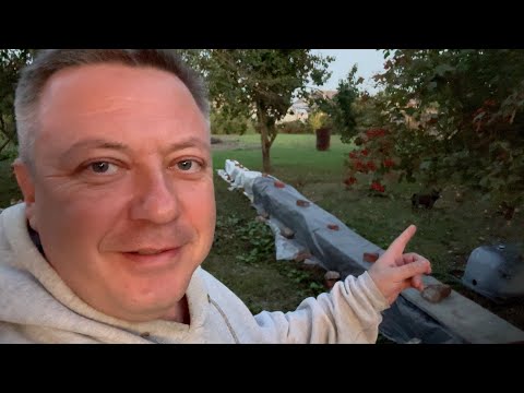 Видео: обзор участка под ЛУНОЙ в доме на Юге : есть то что МОЗОЛИТ глаза