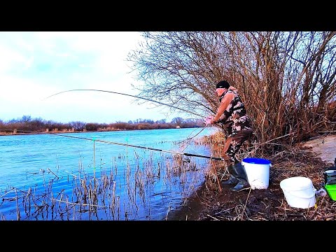 Видео: Вот и ПЕРВЫЕ ОГУРЦЫ! Долгожданная РЫБАЛКА на КОРЮШКУ! Весна 2024
