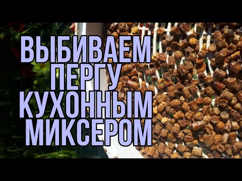 Видео: Извлекаю пергу в домашних условиях. Как выбить пергу. Как добыть пергу из сот. Хранение перги.