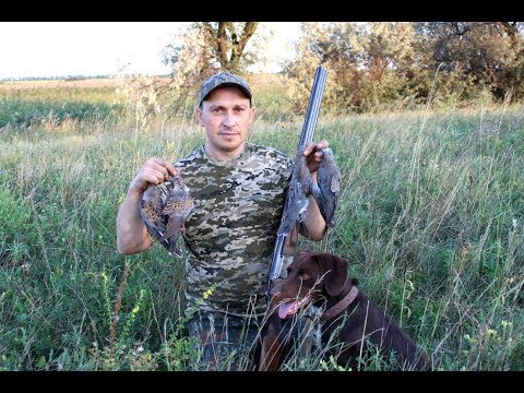 Видео: удачная ОХОТА НА ГОЛУБЯ 19 08 2018