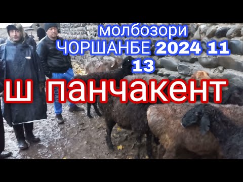 Видео: МОЛБОЗОРИ ЧОРШАНБЕ Ш Панчакент 2024 11 13 👉+992929323888номери ман