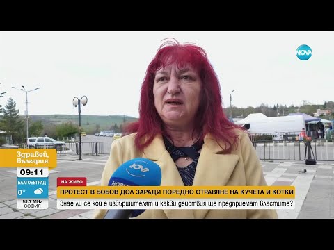 Видео: Протест в Бобов дол заради масово отравяне на бездомни кучета