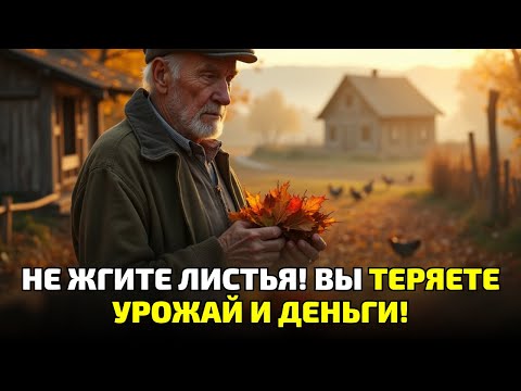 Видео: 7 причин не сжигать листья — и как превратить их в золото для урожая!