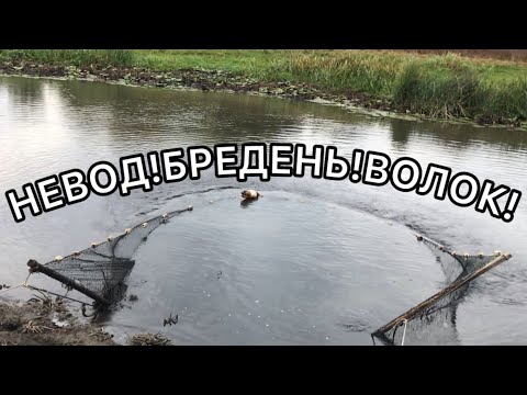 Видео: ЗАТЯНУЛИ БРЕДЕНЬ!ГЛАЗА БОЯТЬСЯ РУКИ ДЕЛАЮТ!