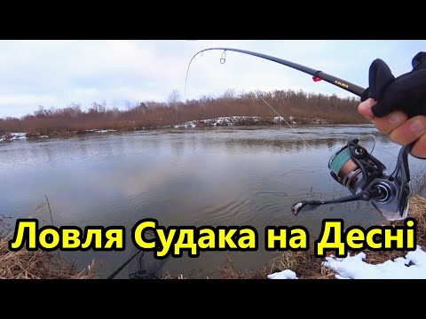 Видео: Ловля Судака на Джиг. Зимовий Спінінг на Десні