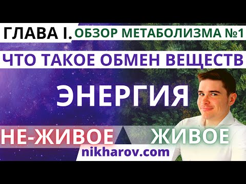 Видео: Что такое метаболизм: Катаболизм, Анаболизм, Живое, НЕживое, Энергия, Материя, Энтальпия, Энтропия.