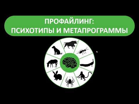 Видео: Профайлинг Урок 1