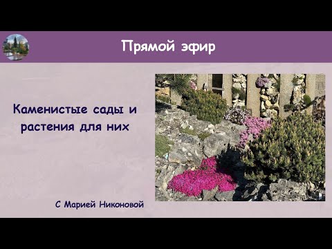 Видео: КАМЕНИСТЫЕ САДЫ И РАСТЕНИЯ ДЛЯ НИХ. Запись эфира 18.02.2024