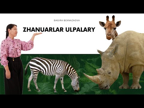 Видео: Жануарлар ұлпалары