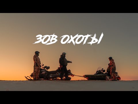 Видео: Охота на волка в Казахстане