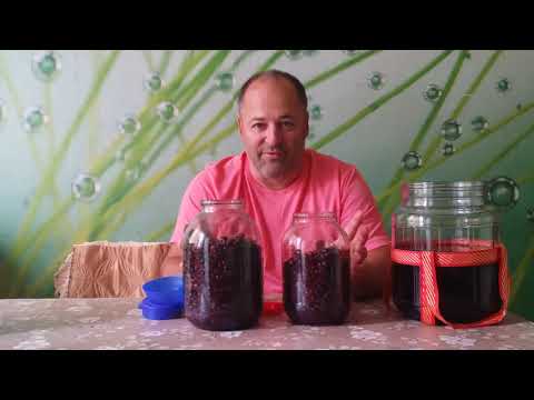 Видео: Смородинная наливка  Смородинка  Дегустация напитка