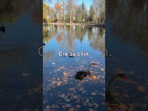 Видео: При розлученні чоловік ділив навіть виделки