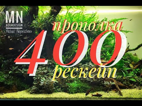 Видео: Акваскейпинг.  #Аквариум400литров  прополка и рескейпинг.