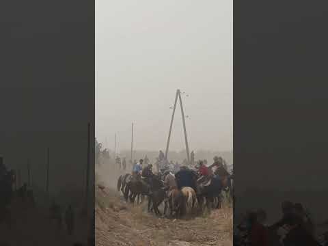 Видео: 1 ноября 2025 г.