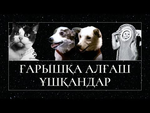 Видео: Ғарышқа алғаш ұшқандар жайлы қызықты мәліметтер.  Алғаш ұшқан ғарышкер маймыл.