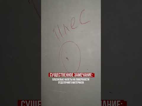 Видео: СУЩЕСТВЕННОЕ ЗАМЕЧАНИЕ — ПЛЕСЕНЬ! 🦠 #ремонт #приемка #застройщик #новостройка