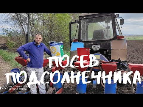 Видео: Посев подсолнечника