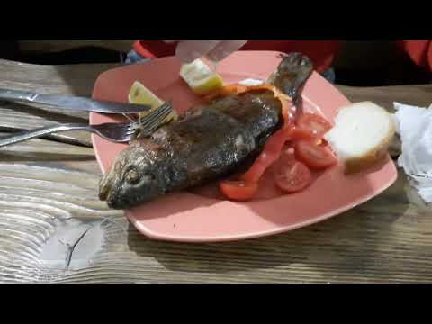 Видео: Вечерняя прогулка по селу Синевир.