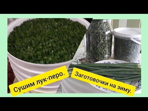 Видео: #Больше лук незамораживаю.#Сушим зеленый лук,в электросушилке ,,Ротор"