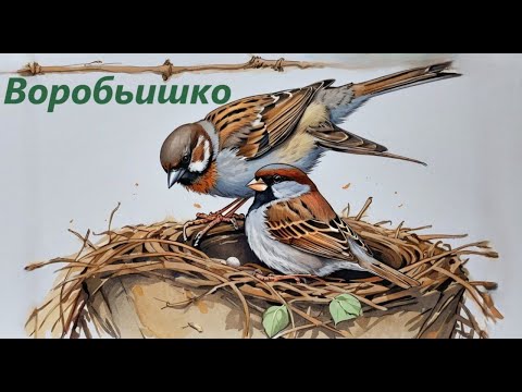 Видео: Воробьишко. Сказка о маленьком воробышке М.Горького.