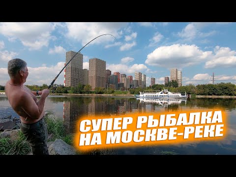 Видео: Супер рыбалка на Москве-реке! Невероятный улов москвича!