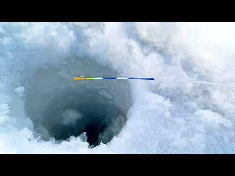 Видео: Я ДУМАЛ ТУТ ТОЛЬКО мелкая рыба, Я ОШИБСЯ. Рыбалка на безмотылку зимой 2023