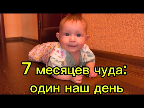 Видео: 7 месяцев чуда: один наш день