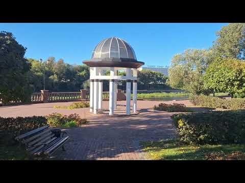 Видео: Павел Кашин - Я ДУМАЛ СЕРДЦЕ ПОЗАБЫЛО - ВИТЕБСК