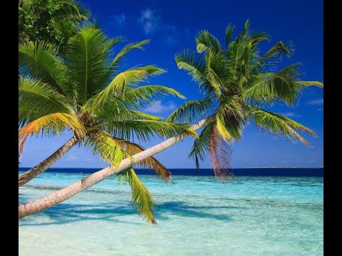 Видео: ЭТО,И ПРАВДА, АБСОЛЮТНЫЙ РАЙ!