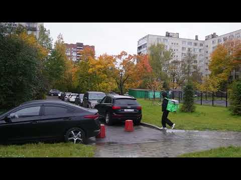 Видео: МОКРЫЕ ЛИСТОЧКИ