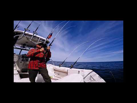 Видео: Троллинг лосося в Балтийском море . Катер Boston Whaler 255  !